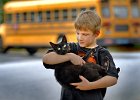 Catwalk copy  Bret Carter, 7, takes his cat &#34;Fleetwood&#34; out for a stroll near his home in Spartanburg, SC Wednesday afternoon, 11-3-04. (AP Photo/Spartanburg Herald-Journal/Tim Kimzey)